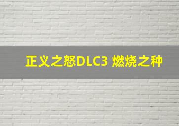 正义之怒DLC3 燃烧之种